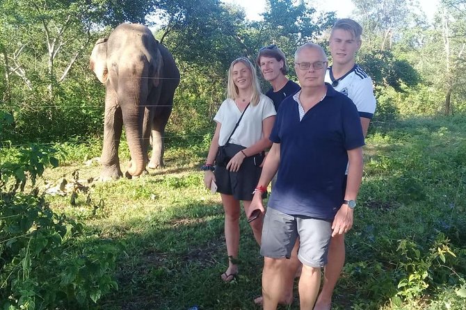 08 Nights in Magical Sri Lanka - Kandy’s temple, markets, gardens, and viewpoints