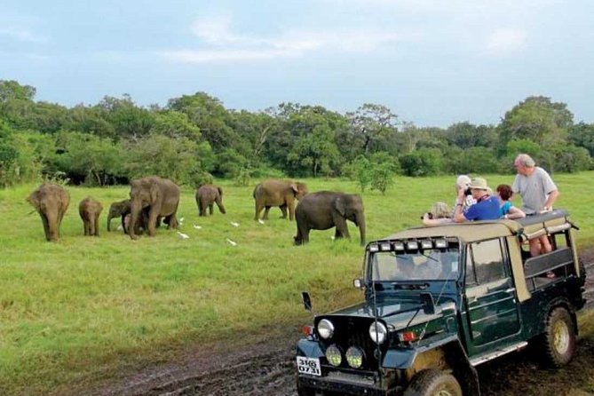08 Nights in Magical Sri Lanka - Hikkaduwa turtles and a final look at Colombo