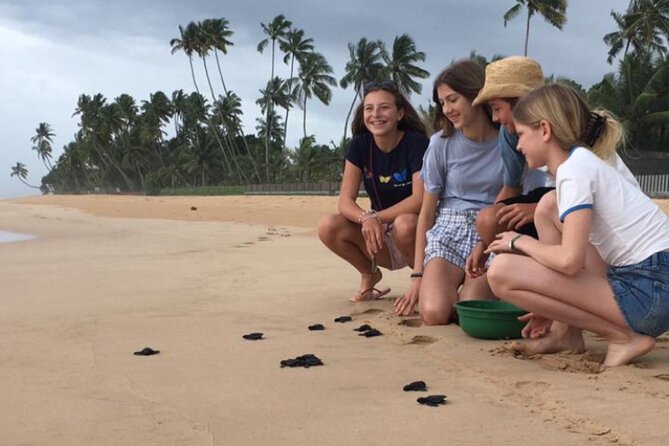 10-Day Sri Lanka Escape – Culture, Wildlife & 3 stars Hotels - Waterfalls on the road to Yala