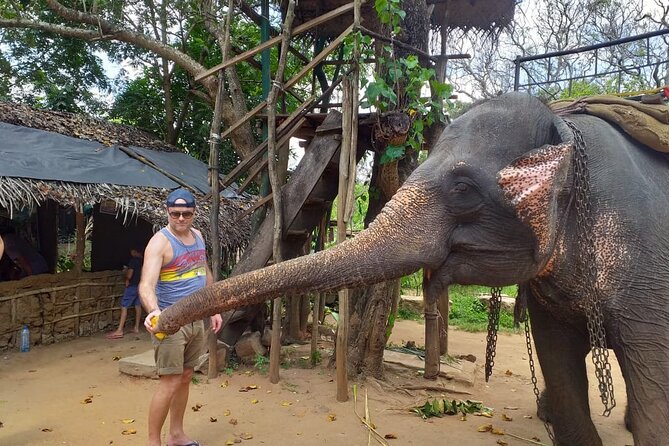 12 Days Sri Lanka Island Adventure and Wild Tour - Day 7: The scenic train to Ella