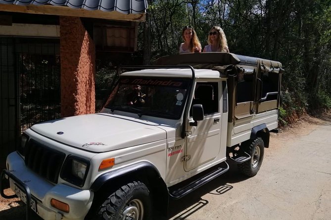 14 Days Sri Lanka ALL in One Classic Tour - Days 10 and 11: Mirissa, beach time, and whale watching