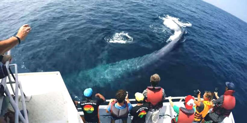 2-Day Whale Watching & Southern Sri Lanka Tour - Galle Fort: the strongest cultural stop