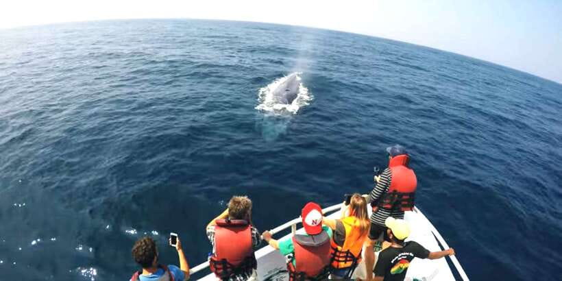 2-Day Whale Watching & Southern Sri Lanka Tour - How much sightseeing fits into two days?