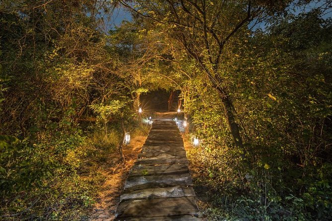 2 Nights All Inclusive Treehouse Safari in Yala with transfers - Day 3: Dawn in Yala, then onward transfer