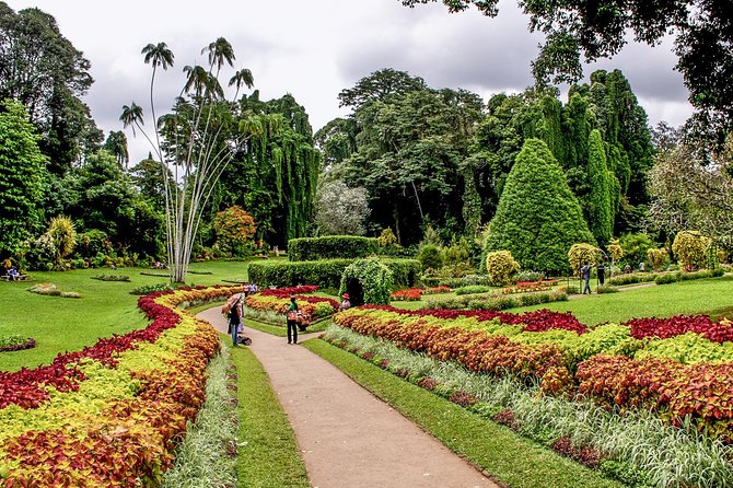 3 Days Tour to Kandy, Nuwara Eliya & Sigiriya - Glenloch Tea Factory and the cost of convenience