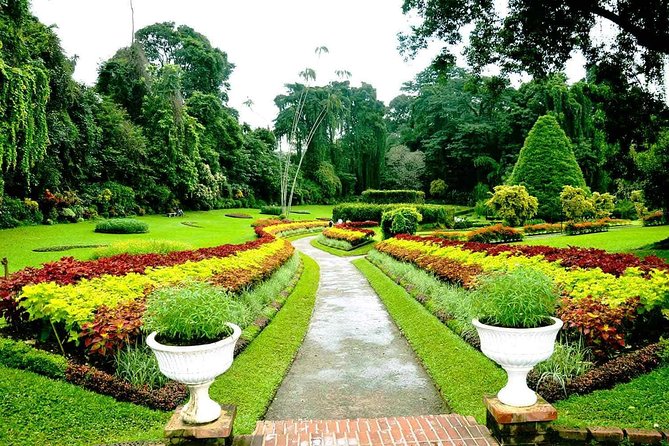 3 Days Tour to Kandy Nuwara Eliya & Sigiriya from Colombo - Who should book this three-day circuit?