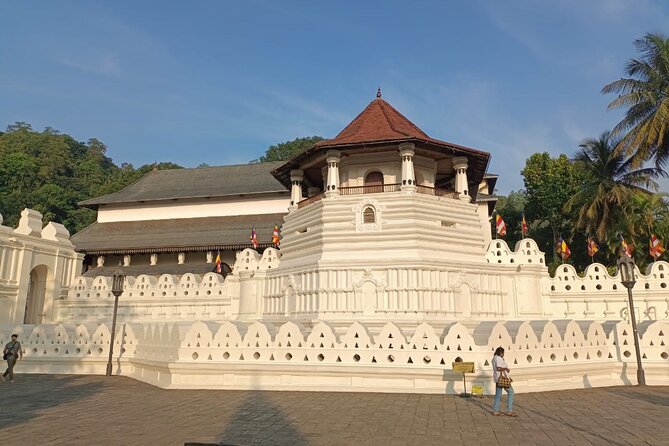 4 Days Amaizing Classic Mini Tour Sri Lanka - Day 1: Spices, Kandy’s sacred tooth, and a garden afternoon