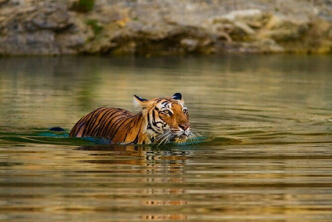 5 Day Sri Lanka Tour : Including Temple of Tooth & Sigiriya Trip - Who will get the most from this tour