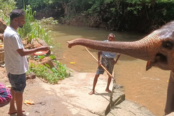 7 days Sri Lanka | 4 star hotels with BB | Private tour - What the seven-day route really gives you