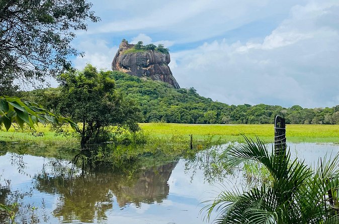 7 Days Sri Lanka Safari Tour - Day 6: Whale watching and a surf lesson in Mirissa