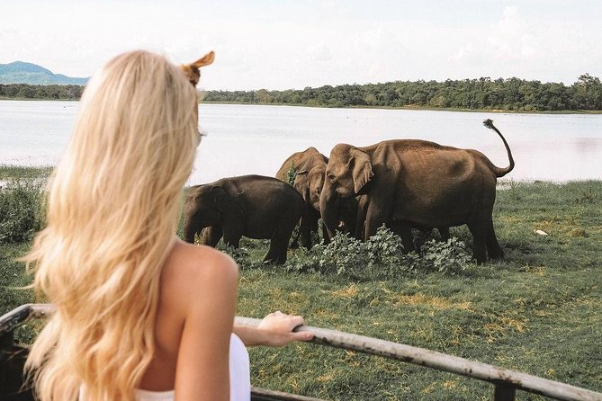 7 Nights Private Tour Of Sri Lanka - Day 3: Sacred caves, Kandy temples, and evening dance