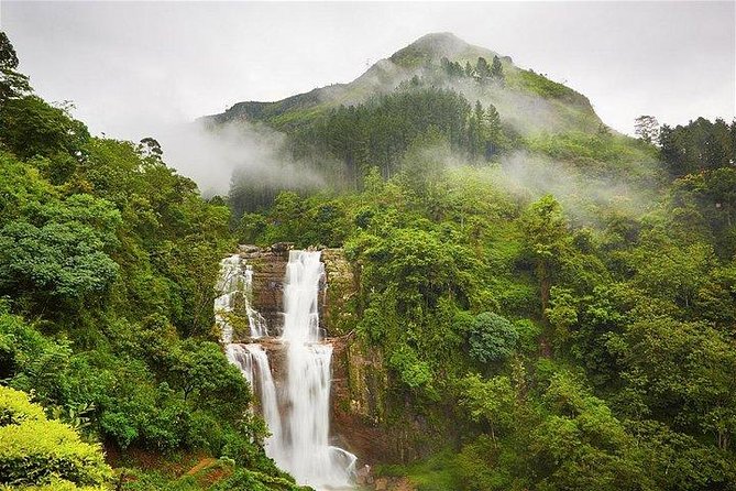 7 Nights Private Tour Of Sri Lanka - Day 7: Mangroves, turtles, and Colombo’s city life