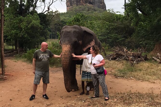 8 Days Private Guided Tour in Sri Lanka with accommodation (BB) - What this eight-day Sri Lanka route does well
