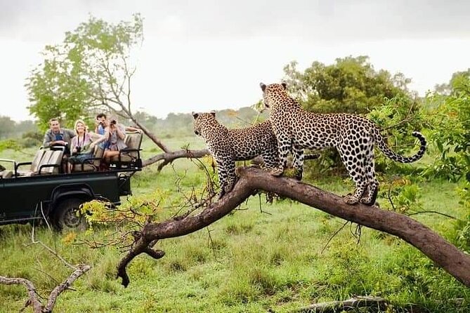 8 Days Private Guided Tour in Sri Lanka with accommodation (BB) - Mirissa and the final beach transfer
