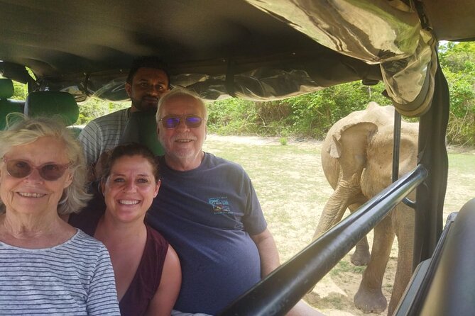 9-Day Sri Lanka Adventure with Local Guide - Day 3: Dambulla, gemstones, and Kandy