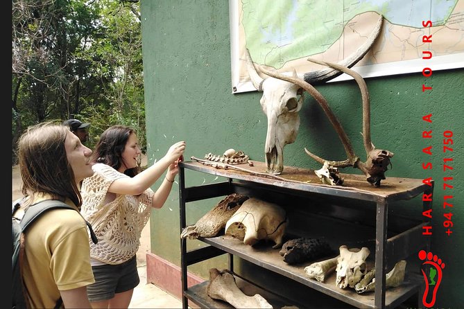 A Udawalawa Park safari, Tour from Colombo/Galle- (All inclusive) - Three hours inside Udawalawe National Park