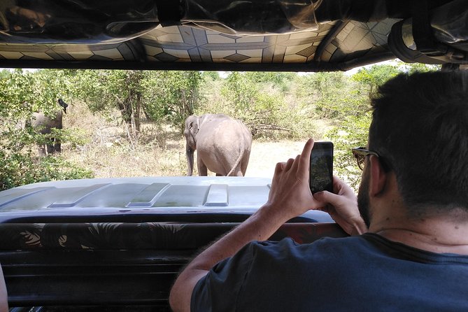 A Udawalawa Park safari, Tour from Colombo/Galle- (All inclusive) - What the elephant experience is really worth
