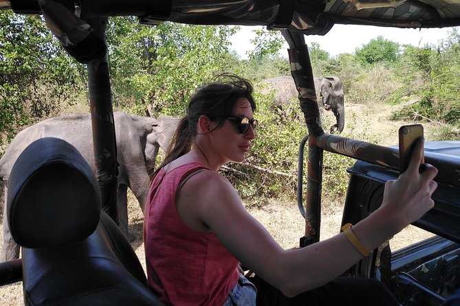 A Udawalawa Park safari, Tour from Colombo/Galle- (All inclusive) - Lunch, drinks, and the all-inclusive value