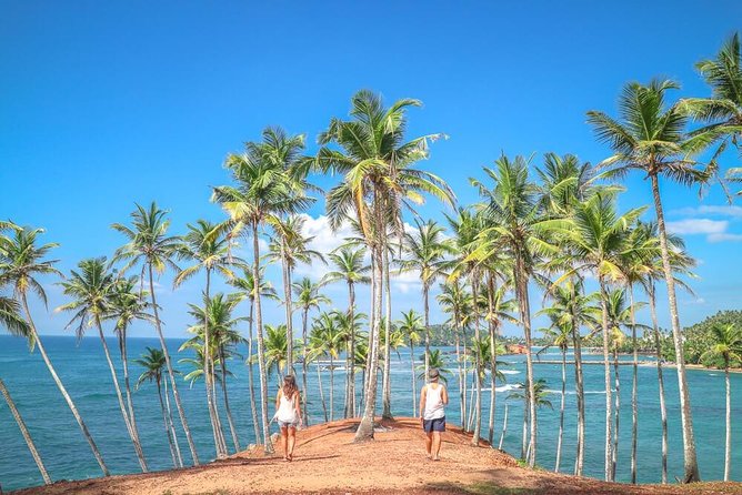 Airport Taxi Transfers from Colombo Airport to Mirissa - Key points to know before booking