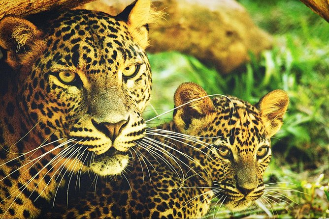 All in one Sri lanka 7nights 8 days for couple price - Is $720 good value for a couple?
