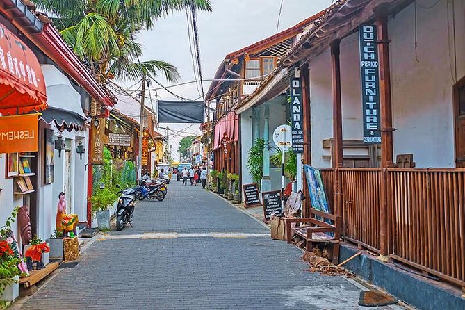 All Inclusive Galle Day Tour from Colombo & Negombo - What the guide can add to the day