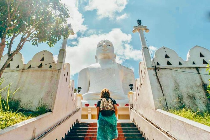 All Inclusive Kandy Private Day Tour From Colombo and Negombo - Udawattekele Forest Reserve