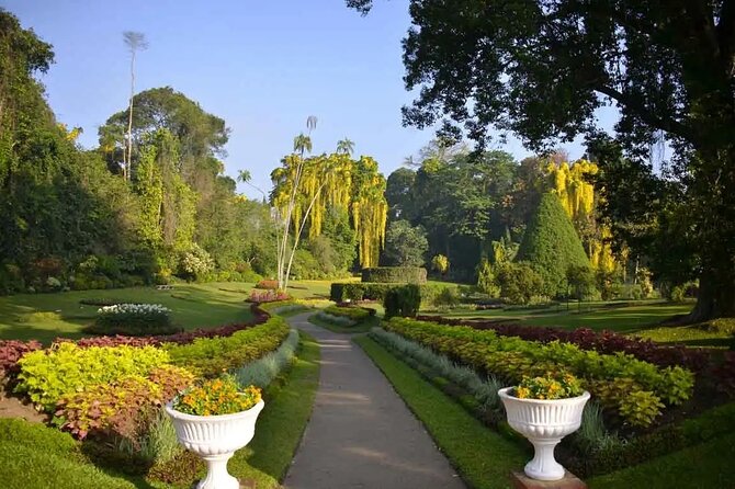 All Inclusive Kandy Private Day Tour From Colombo and Negombo - Spice gardens and Sri Lankan craftwork