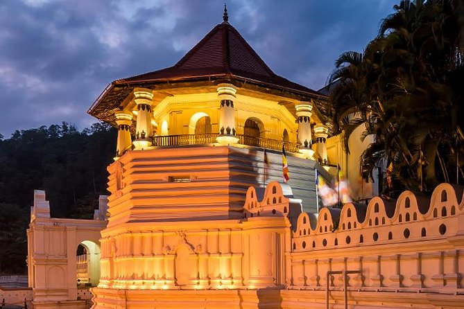 All Inclusive Kandy Private Day Tour From Colombo and Negombo - Royal Botanic Gardens in Peradeniya