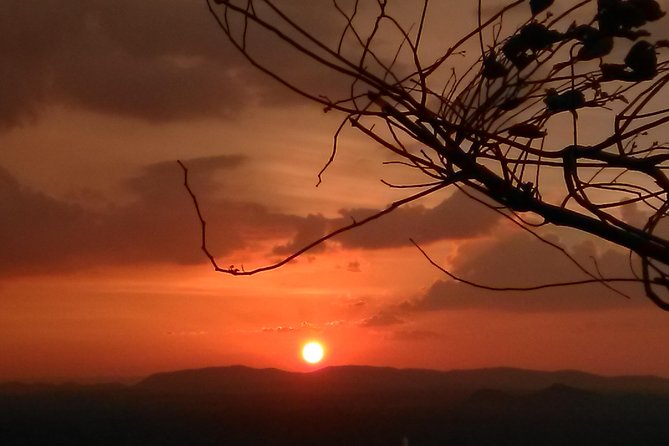 All inclusive Private day trip Sigiriya and Dambulla caves with more - The guide and the importance of clear communication