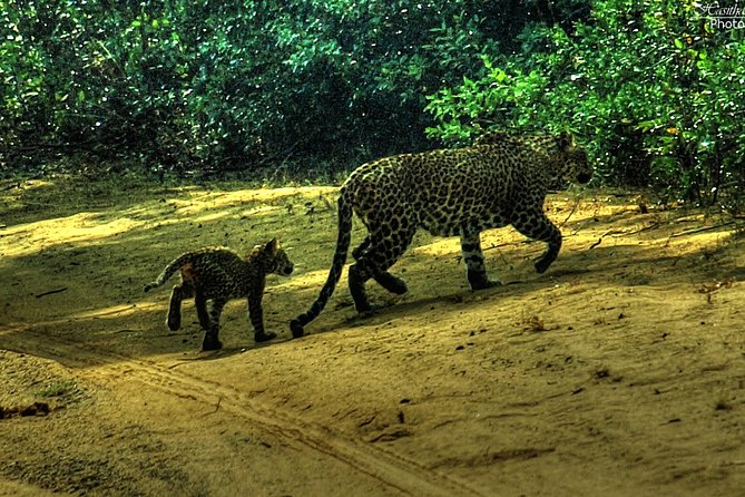 All inclusive Private jeep safari at Yala National park - Sithulpawwa Rock Temple adds a different side of Sri Lanka