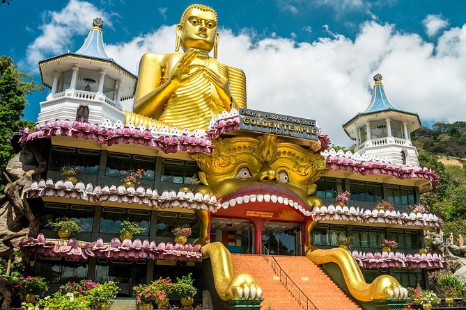 All Inclusive Sigiriya & Dambulla Day Tour from Colombo & Negombo - Communication and guide service