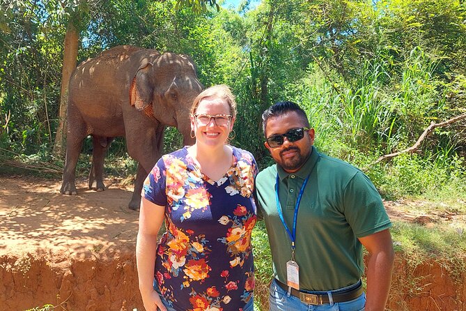 All Inclusive Udawalawe National Park Safari Day Tour from Colombo and Negombo - Inside Udawalawe National Park