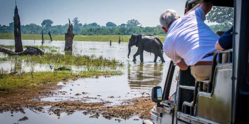 All inclussive Udawalawa National Park Safari From Colombo - Lunch in Udawalawe, at your own cost