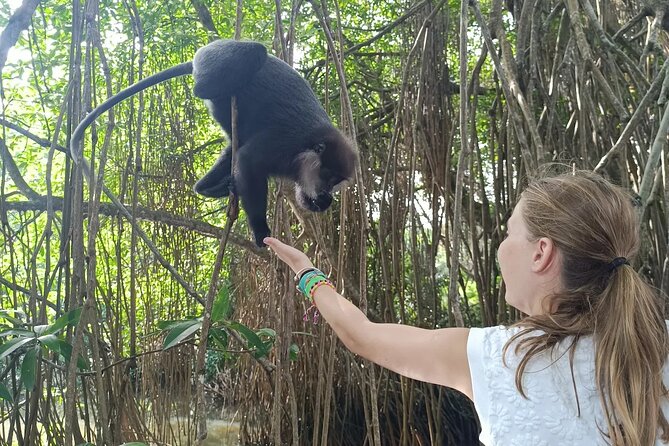 All of Sri Lanka within 10 Days - Yala and Galle shift the mood to wildlife and the coast