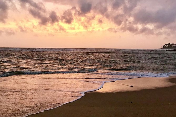 Best Of Sri lanka Tour (06 Days 05 Nights) - Kandy- N.Eliya -Bentota-Colombo - From Colombo airport to Kandy and the elephants of Pinnawala