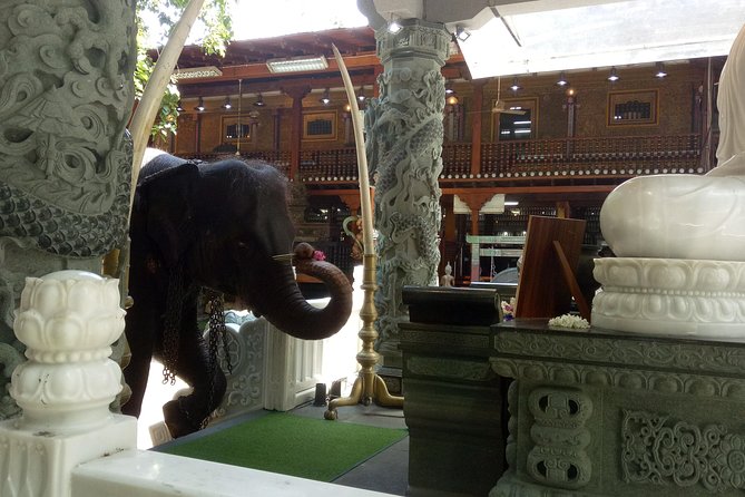 Colombo City Day Tour - Guides, Vehicles, and the Colombo Traffic Problem