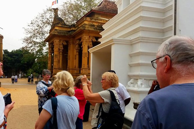 Colombo City Tour (small group with pickup from Cruise ship) - Timing, traffic, and the cruise schedule
