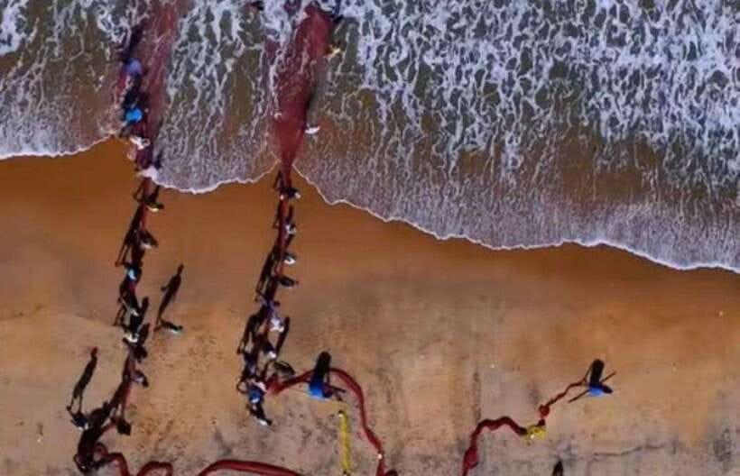 Colombo-Galle Fort, Boat Safari, Turtles, Amazing Group Tour - A full southern coast sampler from Colombo