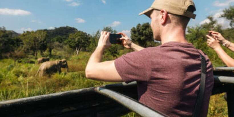 Colombo/Negombo to Sigiriya, Dambulla & Jeep Safari Day Tour - Safari by open jeep