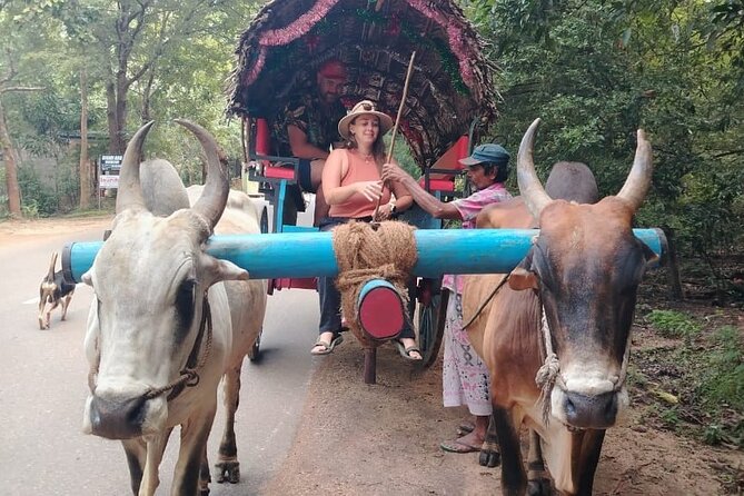 Colombo , Negombo to Trincomalee Transfer and Safari - What the reviews reveal about the service