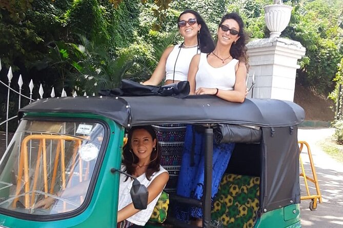 Colombo Private Tuk-Tuk City Tour with All Entry Fees Included - Green space at Viharamahadevi Park