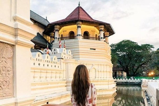 Colombo to Kandy Shuttle with Dambulla Sightseeing Tour - What the $100 price really buys you