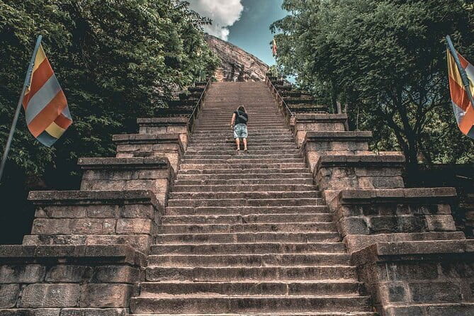 Colombo to Kandy Shuttle with Dambulla Sightseeing Tour - Who should book this day?