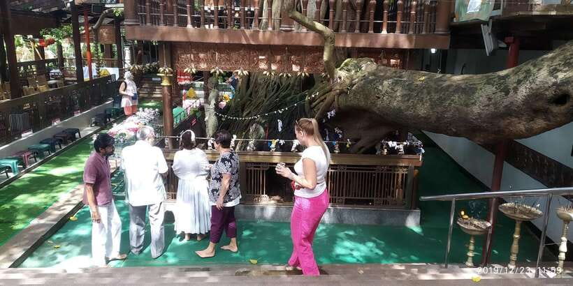 Colombo Tuk Tour with Food and Drinks(morning and evening) - Key points at a glance