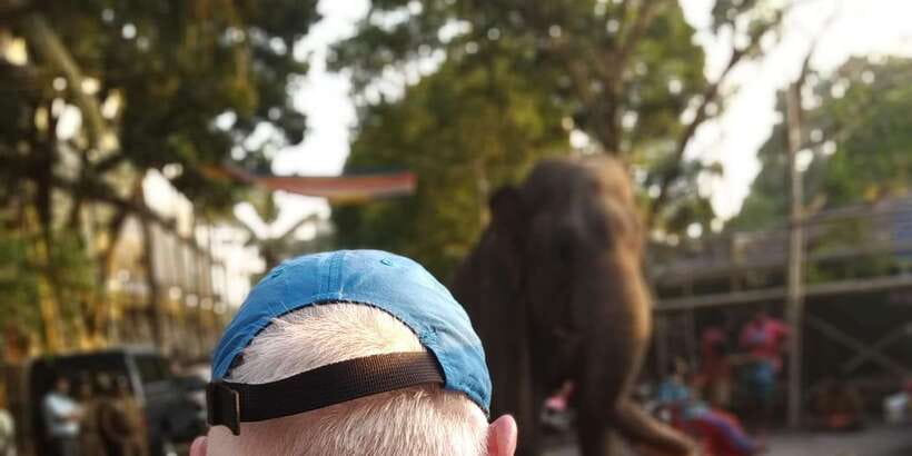 Colombo Tuk Tour with Food and Drinks(morning and evening) - Starting in Colombo and riding in comfort