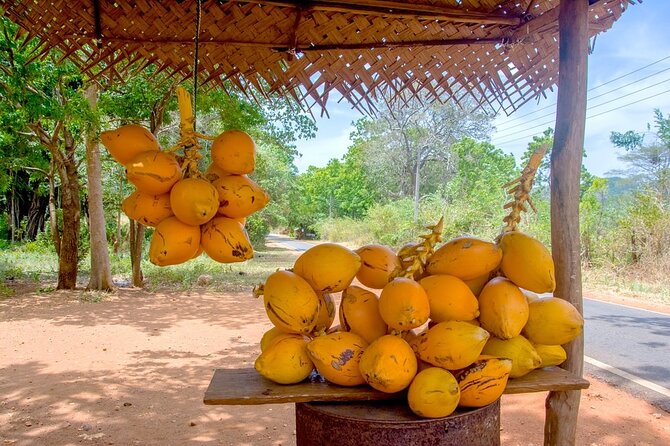 Colombo Tuk Tuk Adventure Explore Food & Culture - Galle Face Green, sunset air, and seafood snacks