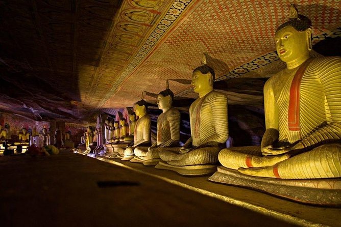 Dambulla & Sigiriya Day Tour from Colombo / Negombo with Lunch - Minneriya and the extra cost of an elephant safari