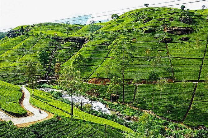 Day Tour to Nuwara Eliya from Kandy by Lux Tours Lanka - Key points to know before booking