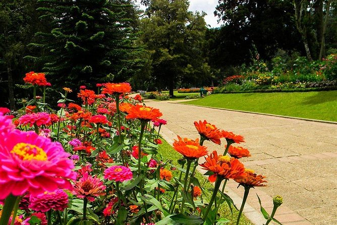 Day Tour to Nuwara Eliya from Kandy by Lux Tours Lanka - Why Nuwara Eliya makes a worthwhile day from Kandy