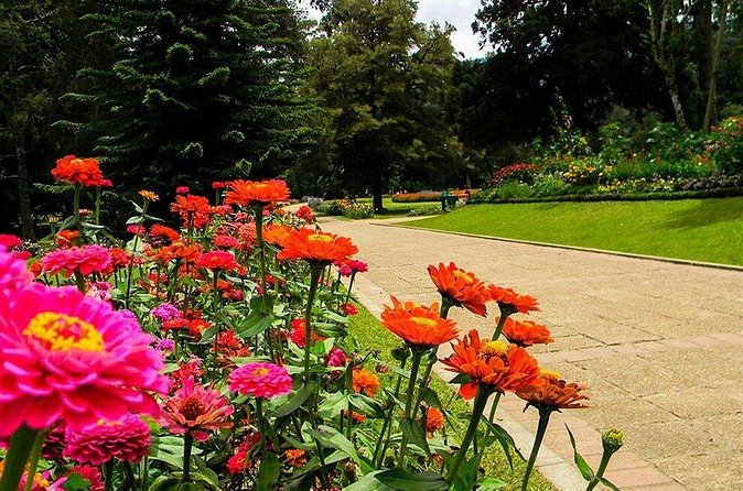 Day Tour to Nuwara Eliya from Kandy by Lux Tours Lanka - Victoria Park adds flowers and breathing room